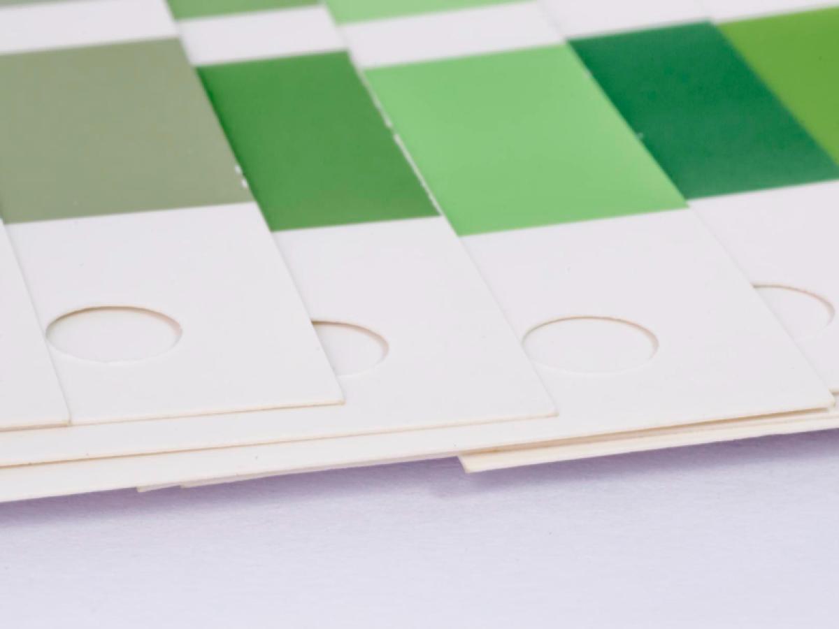 Role of Color Theory in Effective Branding