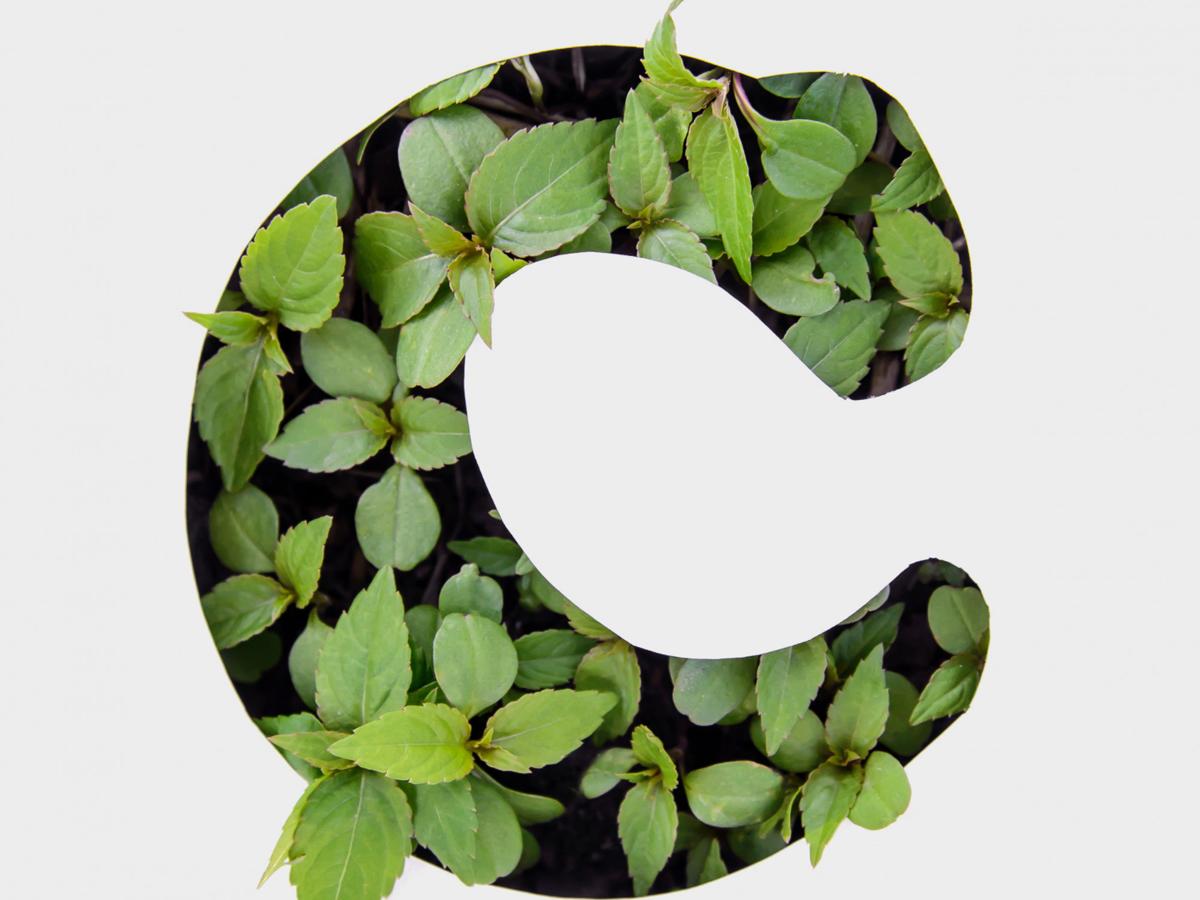 Agriculture Typography