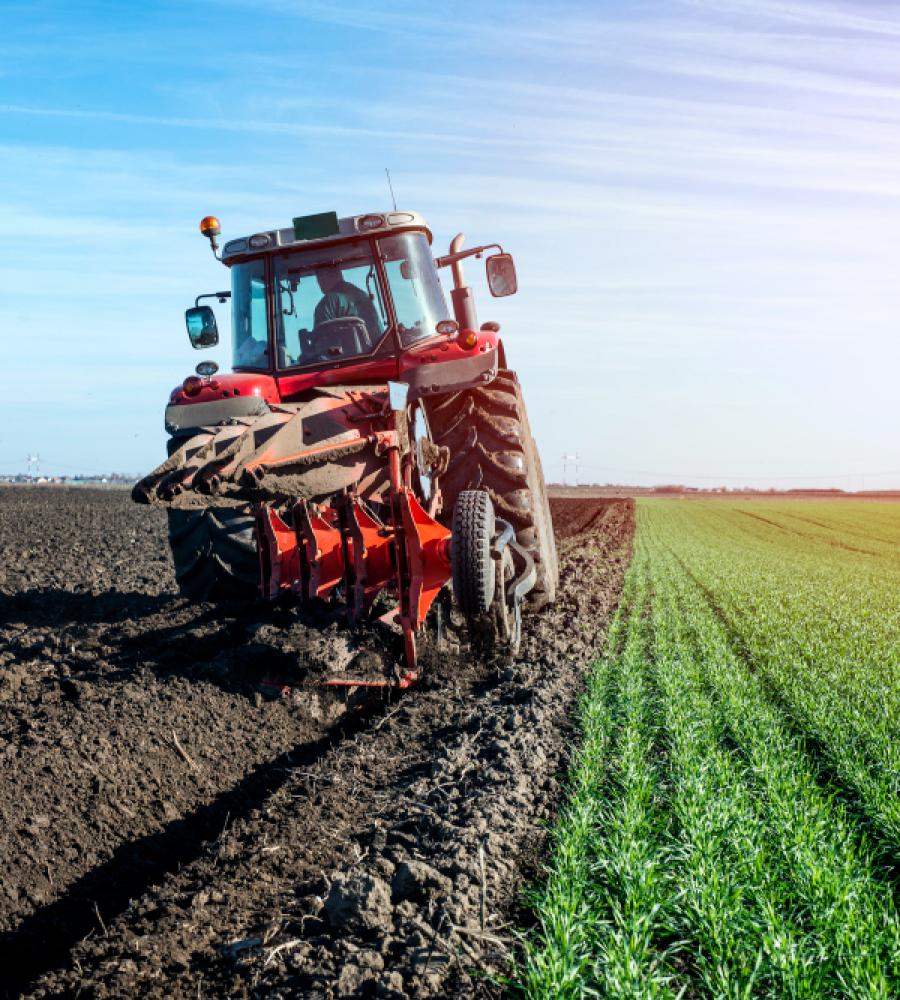 Agriculture Branding & Logo Design Winnipeg