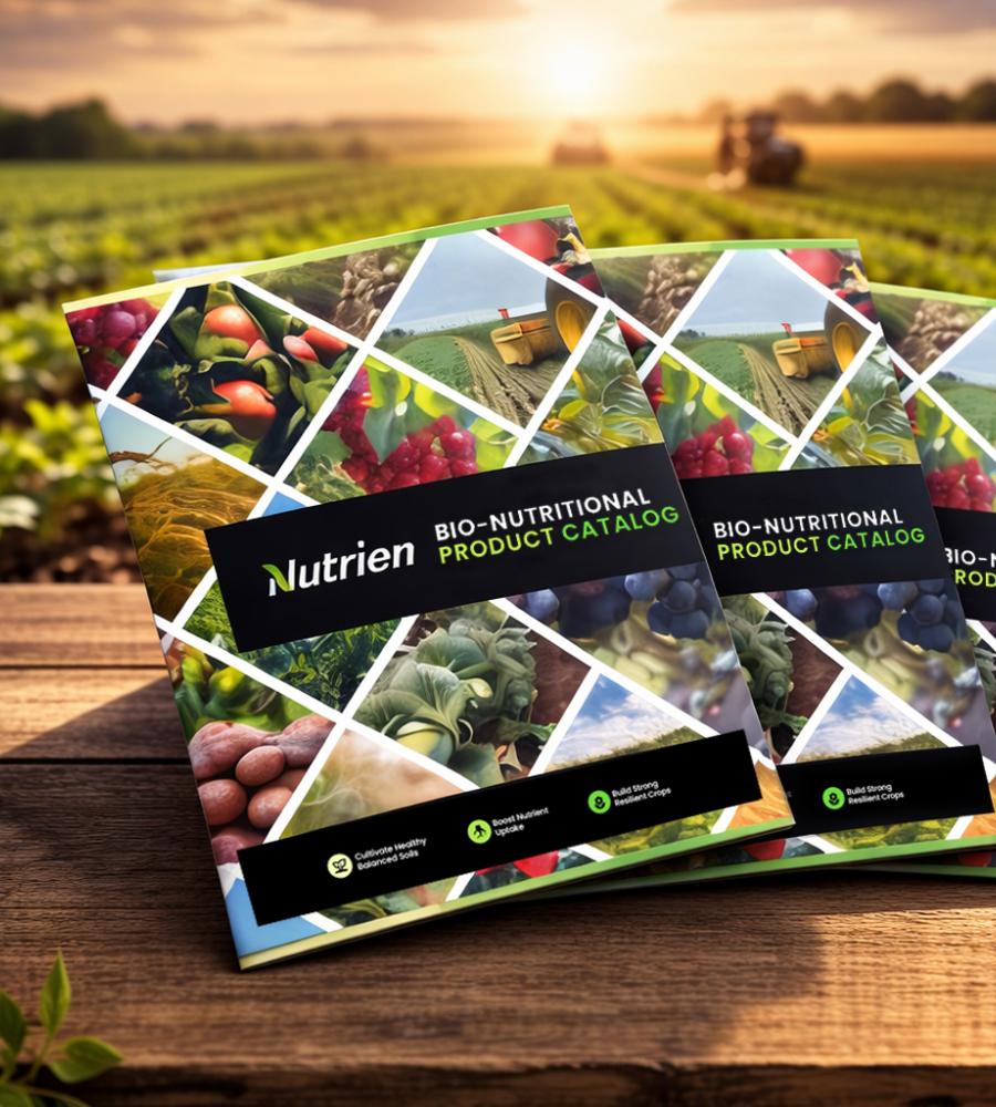 Agriculture Branding