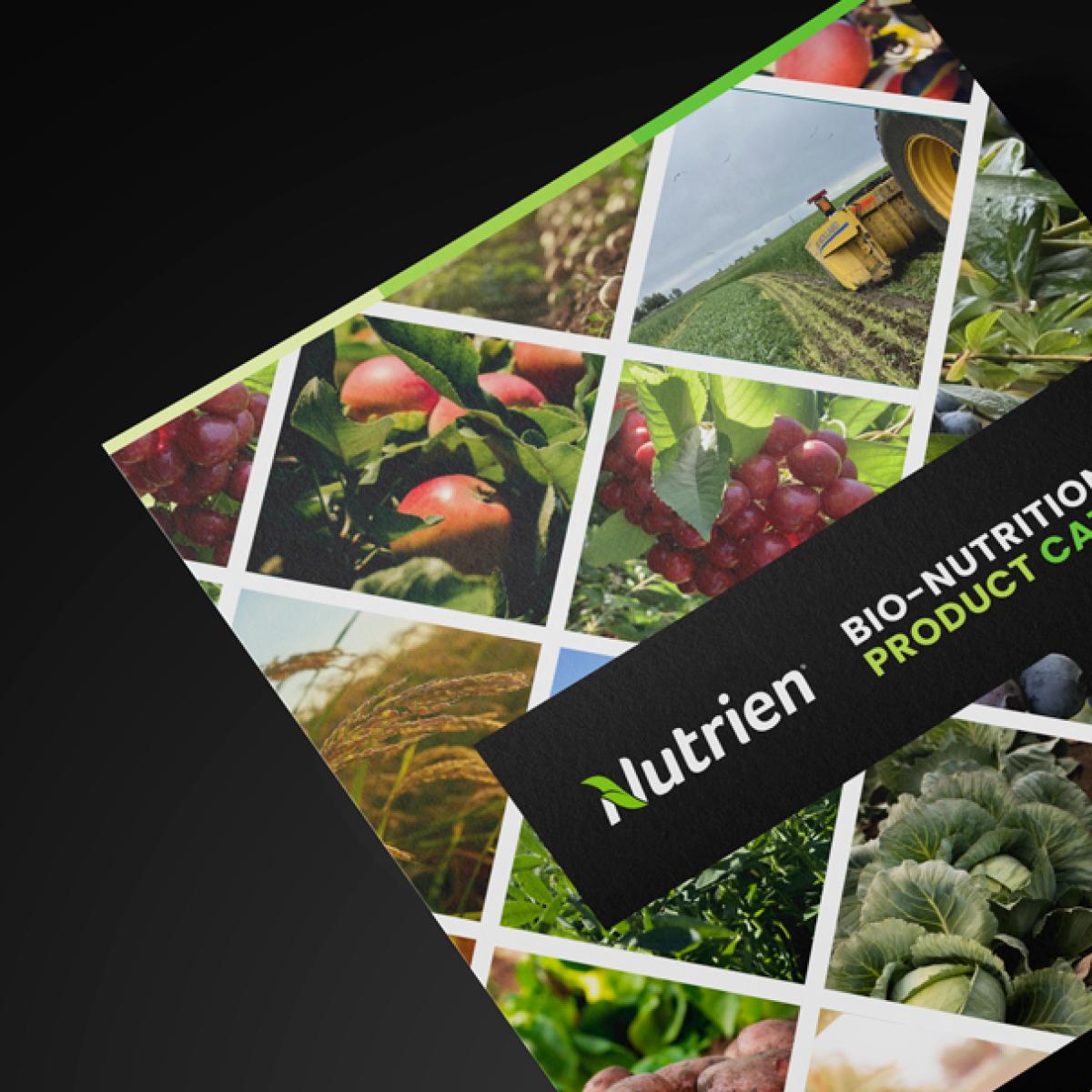 Agriculture Catalog Design